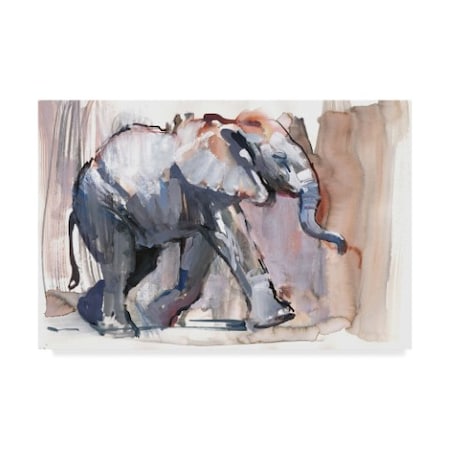 Mark Adlington 'Baby Elephant' Canvas Art,30x47